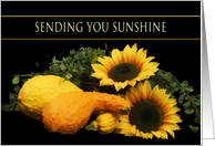 Sending Sunshine, Bright Yellow and Orange Sunflowers and Squash card