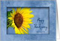 Happy Thanksgiving, Secret Pal, Bright and large yellow Sunflower card