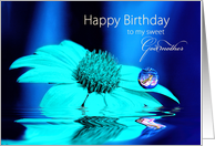 Birthday, Godmother, Beautiful Blue Daisy with Waterdrop and Bird card