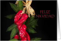 FELIZ NAVIDAD card