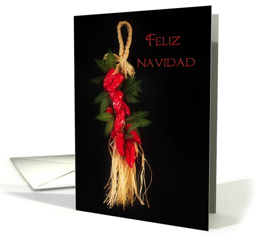 FELIZ NAVIDAD card (527179)