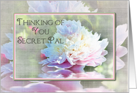 Thinking of You Secret Pal Beautiful and Elegant Peony card
