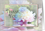 Thank You, Large Elegant Peony in Pastels with Faux Soft Texture card