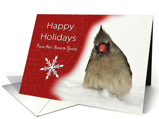 Happy Holidays From Our Home to Yours. Female Red Cardinal... (535935)