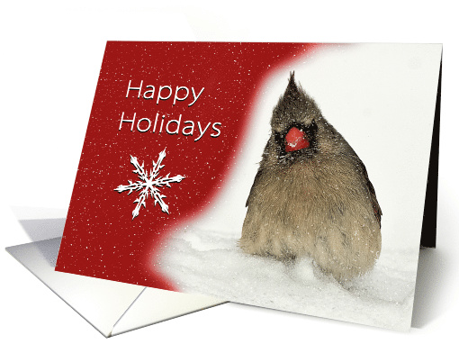 Red Cardinal Sits in Snow with Wishes for Happy Holidays card (535936)