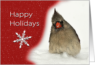 Red Cardinal Sits in Snow with Wishes for Happy Holidays card