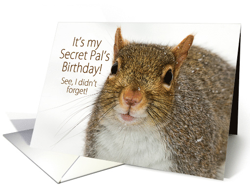 Secret Pal Birthday, Close-up of Squirrel with Snow Flurries card