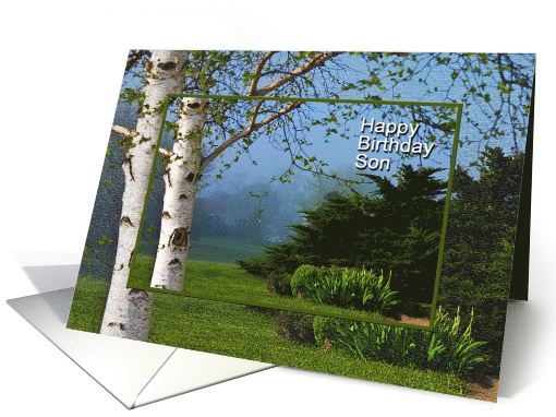 Birthday, Son, Large Beautiful White Tree on a Misty Morning card