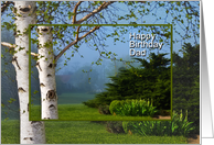 Birthday, Dad, White Birch Trees on a Misty Morning card