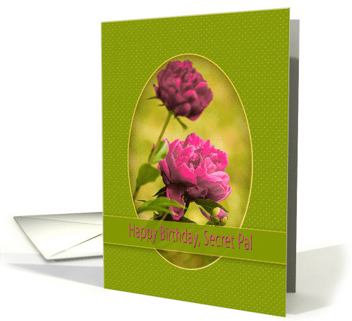 Birthday, Secret Pal, Pink Peony Flowers inside Green Oval Frame card