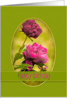 Birthday, Pink Peonies within an Oval Green Frame card