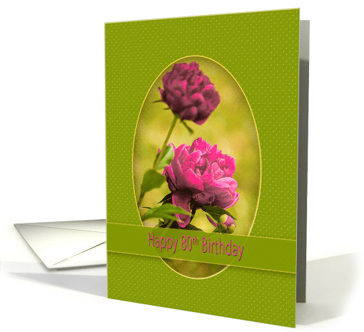 Birthday,80th, Pink Peony Flower in Green Oval Inset Frame card