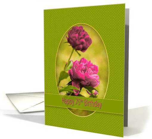 Birthday, 75th, Pink Peonies in Pretty Green Oval card (628567)