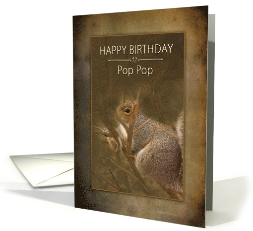 Birthday Pop Pop Squirrel in the Wild on Brown Background card