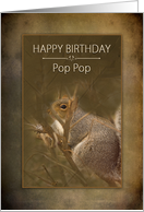Birthday Pop Pop Squirrel in the Wild on Brown Background card
