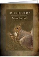 Birthday, Grandfather, Squirrel in the Wild on Brown Baclground card