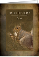 Birthday, Son, Squirrel in Branches on Brown Background card