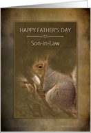 Father’s Day, Son-in-law, Squirrel in the Wild on brown background card