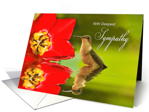 Deepest Sympathy - Hummingbird card (660474)