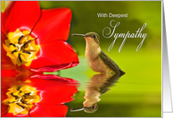 Deepest Sympathy - Hummingbird card