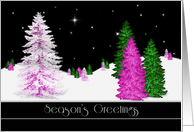 Christmas , Season’s Greetings,Business, Colorful Trees in Night Scene card