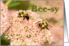 BEE-SY Blank/Note Cards (Bees Polinating) card