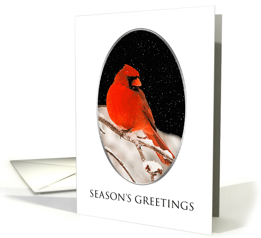 Red Cardinal on Snowy Branch Framed in Oval, Season's Greetings card