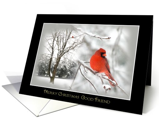 Merry Christmas - Friend - Red Cardinal - Snow storm card (701845)