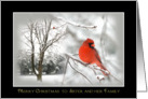 Merry Christmas -sister - Family - Red Cardinal - Snow storm card