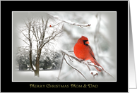 Merry Christmas - Mom & Dad - Family - Red Cardinal - Snow storm card