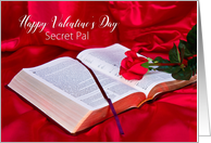 Valentine’s Day, Secret Pal, Bible Opened with Red Rose on Silk card