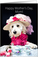 Mother’s Day, Mother, Cute Dog wearing Fancy Hat having Tea card