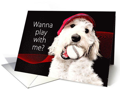 Baseball, Any Occasion Note Card, Dog with Baseball in... (751949)