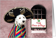 Cinco de Mayo, Dog...