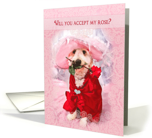 Valentine's Day, Will You Accept this Rose? Dog Wearing... (757485)