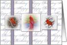 Birthday - Red Cardinals - Birds card