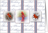 Birthday, Secret Pal, Three Red Cardinals in Frames card