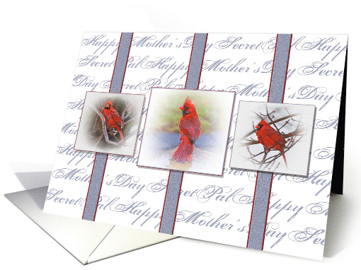 Mother's Day, Secret Pal, Three Red Cardinals in Frames card (768741)