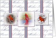 Mother’s Day, Secret Pal, Three Red Cardinals in Frames card
