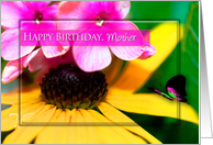 Birthday, Mother, Black-eyed Daisy and Butterfly, Bright Colors card