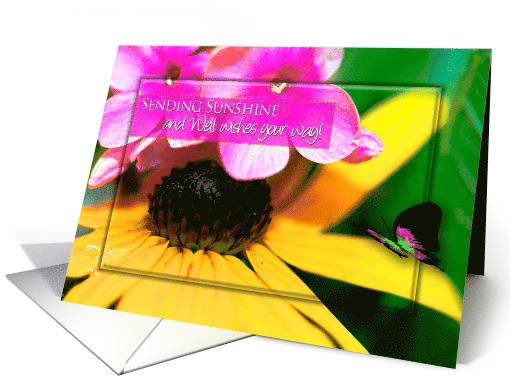Get Well, Sending Sunshine, Black-eyed Daisy and... (923120)
