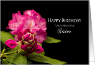 Birthday, Sister, Fuchsia Rhododendron Flowers on Black Background card