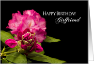 Birthday, Girlfriend, Fuchsia Rhododendron Flower on Black Background card