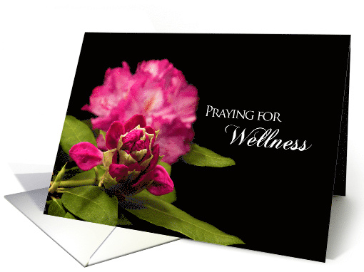 Get Well, Praying for Wellness,Fuchsia Rhododendron... (926526)
