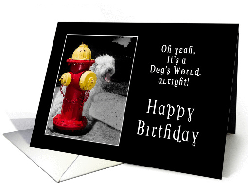 Birthday-Pet-Dog-Firehydrant card (929666)