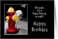Birthday-Pet-Dog...