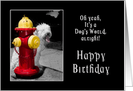 Birthday-Dude-Dog-Firehydrant card