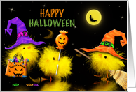 HALLOWEEN - chicks - trick or Treat - kids card