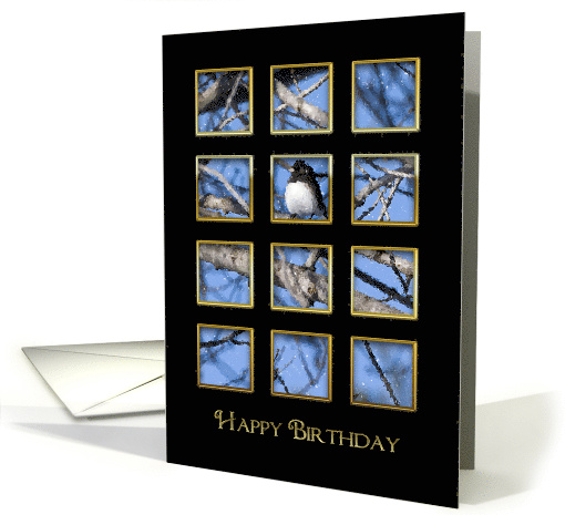 Birthday, Window-like View Openings of Bird on Branch, Black card