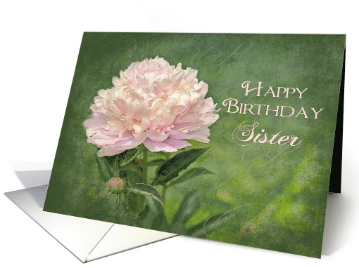 Birthday, Sister, Delicate Pink Peony Flower on Green card (997391)